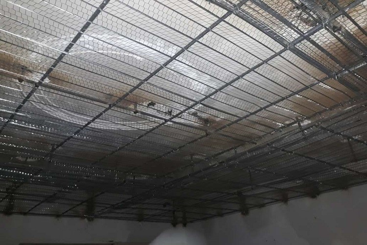 رابیتس چیست